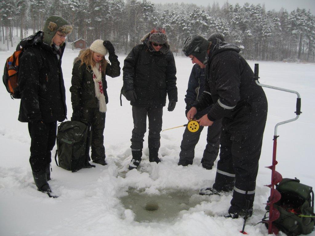 Kullasmarina Holiday Villas Padasjoki Luaran gambar